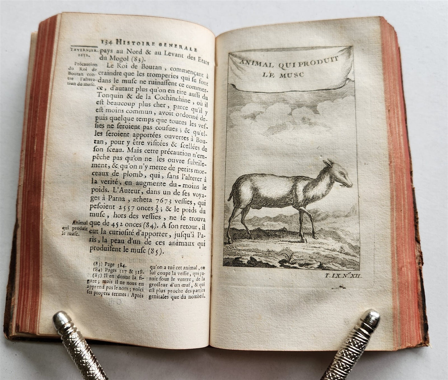 1751 HISTOIRE des VOYAGES VOL. 36 antique illustrated TRAVELS to INDIA