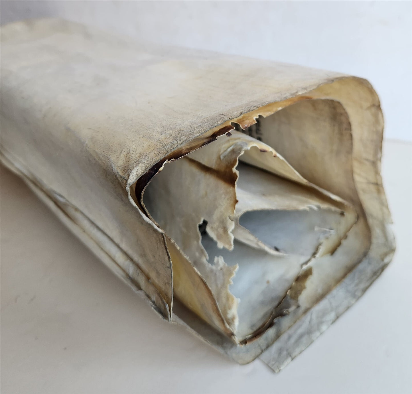 TORAH SCROLL FRAGMENT MANUSCRIPT on VELLUM antique BIBLE DEUTERONOMY 11:4-13:12