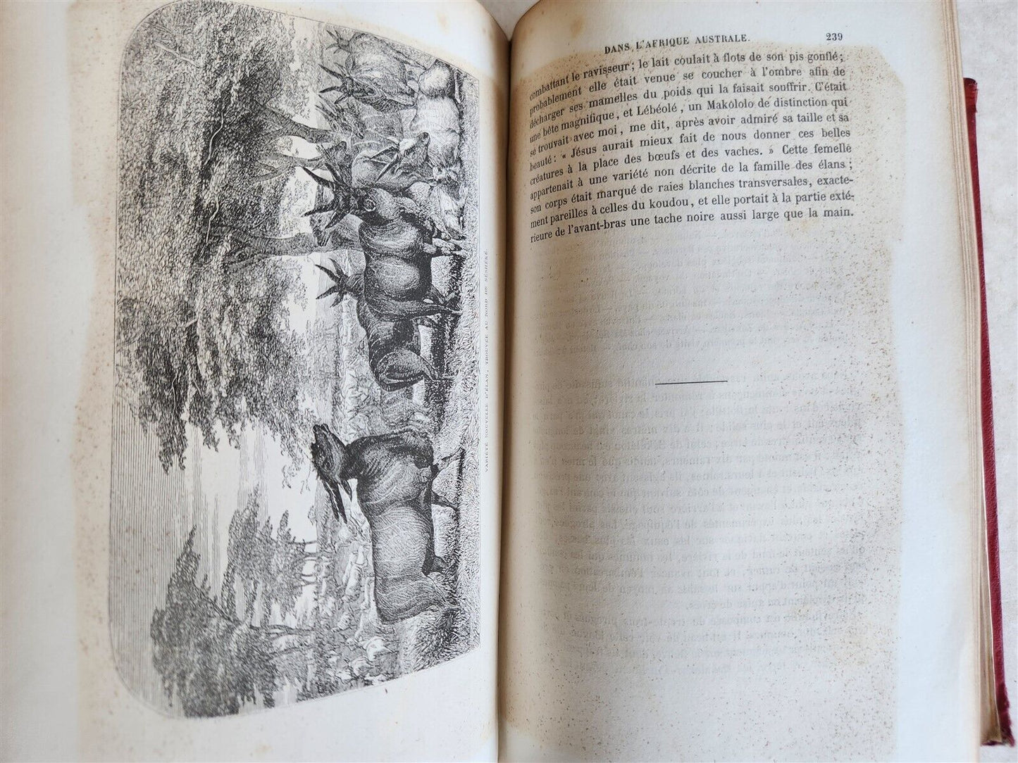 1859 EXPLORATIONS L'AFRIQUE et AUSTRALE LIVINGSTONE VOYAGES antique ILLUSTRATED