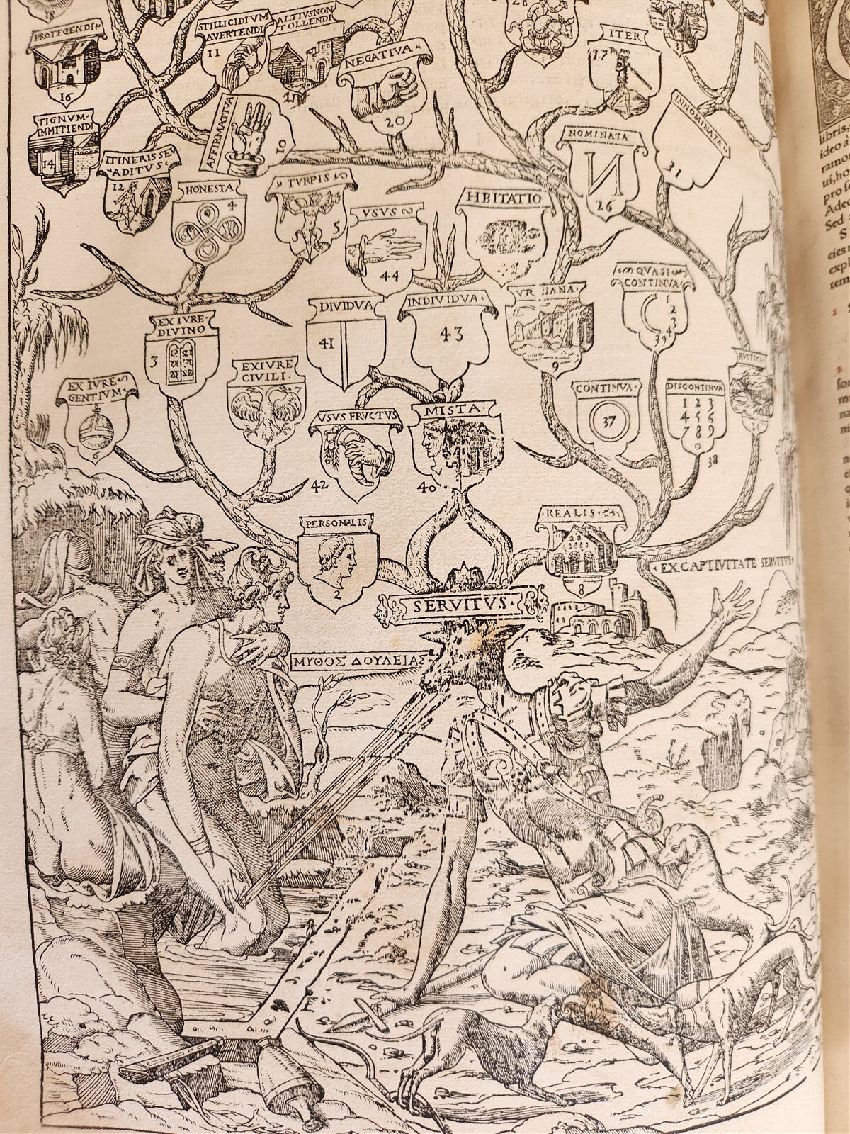 1557 LAW BOOK PART of Corpus Juris Civilis DIGESTA antique MASSIVE FOLIO vellum