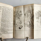 1753 HISTOIRE des VOYAGES antique Vol.44 EAST INDIES TRAVELS illustrated
