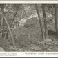 BUCKS CO. PA ARNOLD BROS. BUCKINGHAM MOUNTAIN WOLF ROCKS ANTIQUE POSTCARD #171