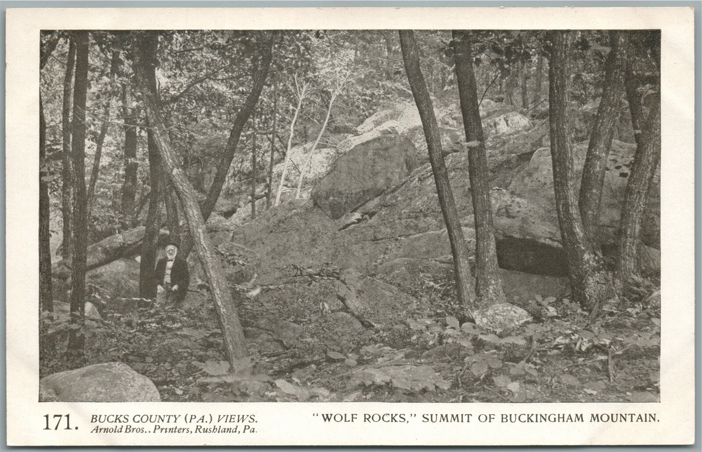 BUCKS CO. PA ARNOLD BROS. BUCKINGHAM MOUNTAIN WOLF ROCKS ANTIQUE POSTCARD #171