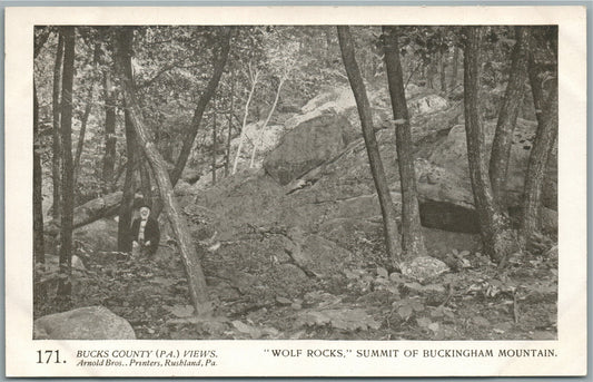 BUCKS CO. PA ARNOLD BROS. BUCKINGHAM MOUNTAIN WOLF ROCKS ANTIQUE POSTCARD #171