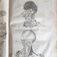 1704 ANATOMY MUSCLE TREATISE antique AMAZINGLY ILLUSTRATED