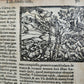 1563 BIBLE in LATIN antique ILLUSTRATED 16th century BIBLIA