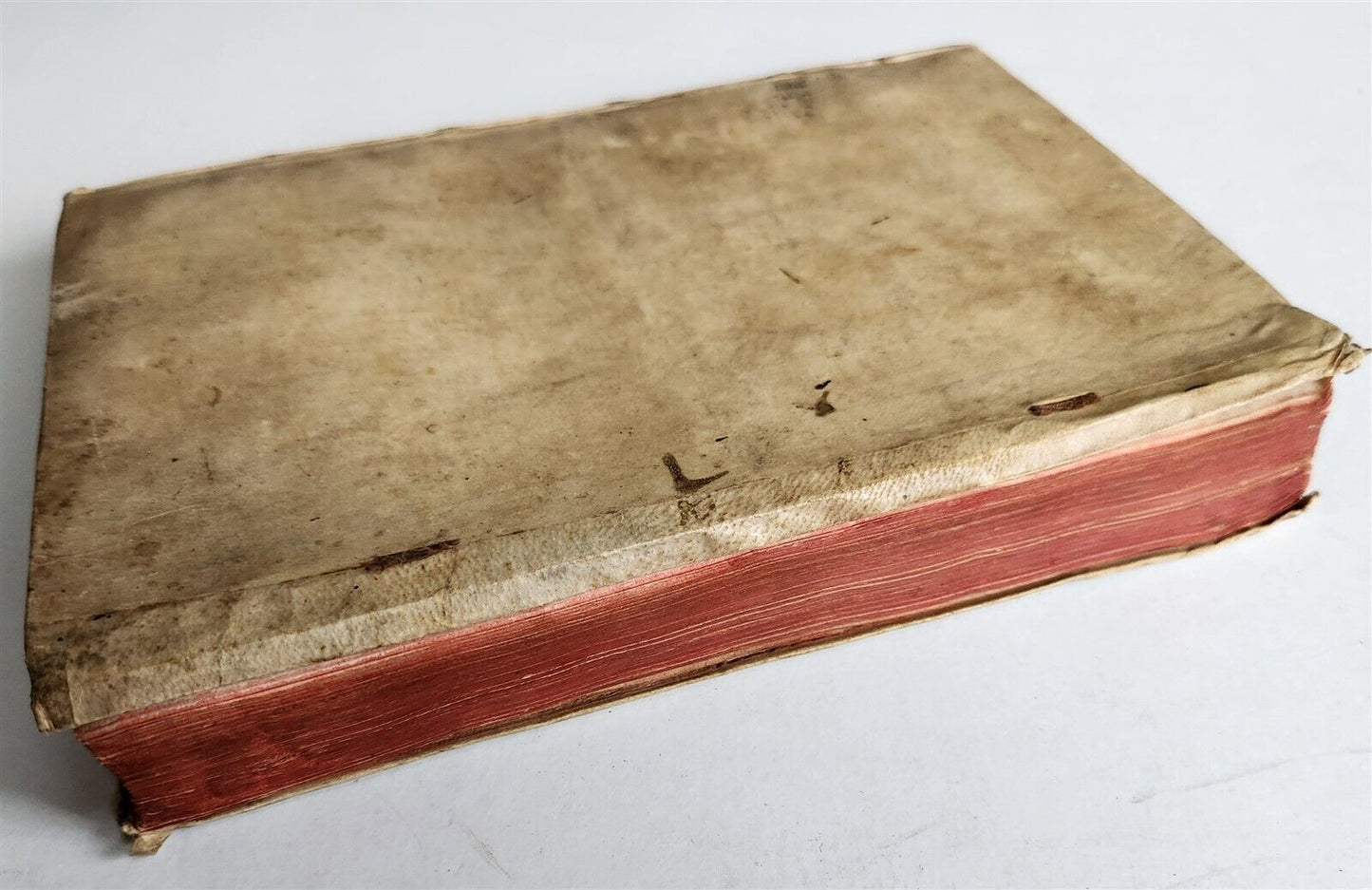 1623 ARISTOTLE antique POLITICORUM vellum bound w/ manuscript cover