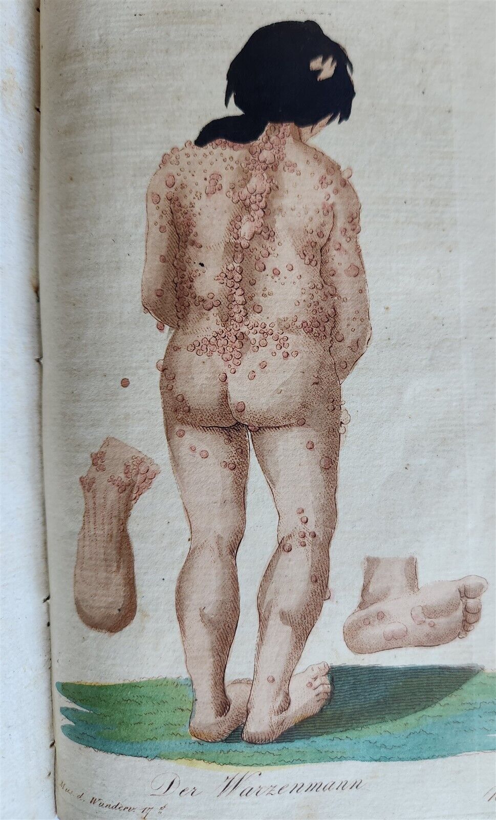 1803-04 EXTRAORDINARY in NATURE ART & HUMAN LIFE 2 VOLUMES antique ILLUSTRATED