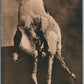 2 GOATS w/2 BODIES & 1 HEAD INDIAN MAHARAJAH TAILOR ADVERTISING ANTIQUE POSTCARD