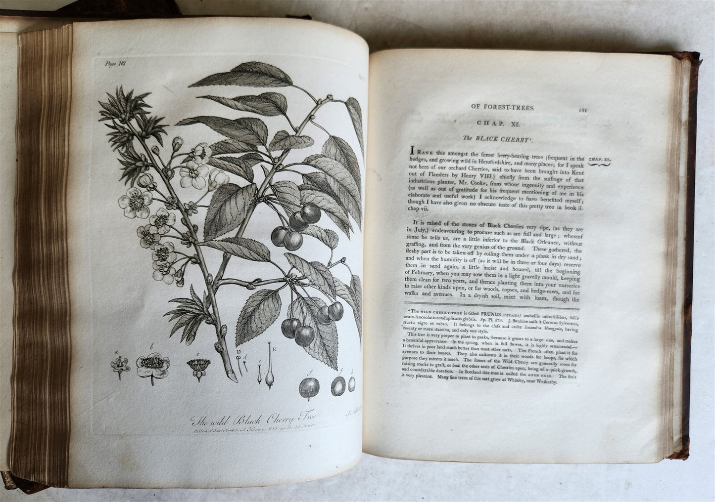 1801 SILVA: DISCOURSE OF FOREST TREES 2 VOLUMES ILLUSTRATED antique in ENGLISH