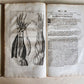 1704 ANATOMY MUSCLE TREATISE antique AMAZINGLY ILLUSTRATED