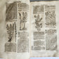 1696 THEATRUM BOTANICUM by Theodor ZWINGER antique ILLUSTRATED FOLIO in GERMAN