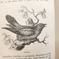 1878 COUNTRY WALKS of a NATURALIST with HIS CHILDREN antique ILLUSTRATED