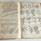 1756 BRITISH HERBAL J.HILL antique ILLUSTRATED FOLIO HISTORY OF PLANTS & TREES
