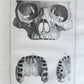 1754 ANATOMY DENTISTRY BOTANY antique ILLUSTRATED Continet anatomica physiology