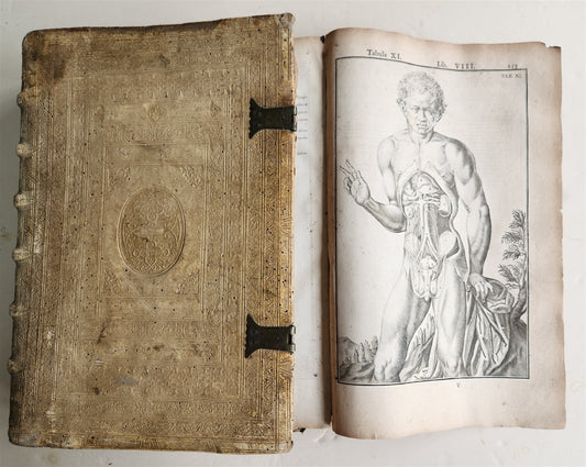 1645 ANATOMY TREATISE Adrian Spigelius 176 ENGRAVINGS ILLUSTRATED FOLIO antique