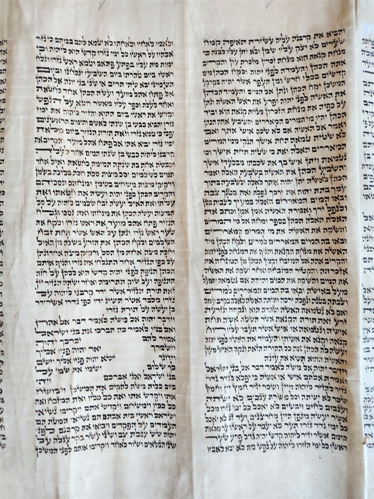 TORAH SCROLL FRAGMENT MANUSCRIPT on VELLUM antique BIBLE NUMBERS 4:39-15:16