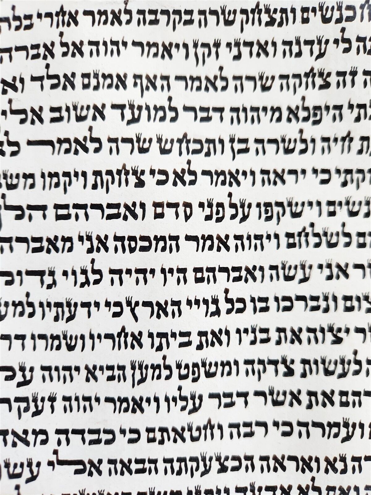 TORAH SCROLL FRAGMENT MANUSCRIPT on VELLUM antique BIBLE GENESIS 16:15 - 21:3