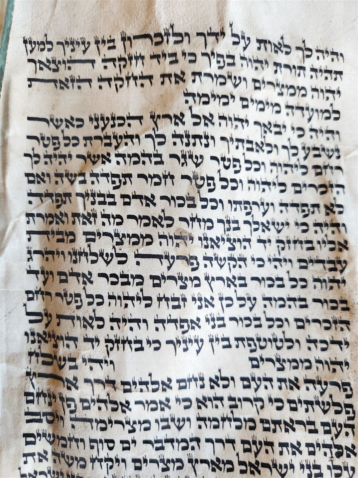 TORAH SCROLL FRAGMENT MANUSCRIPT on VELLUM antique BIBLE EXODUS