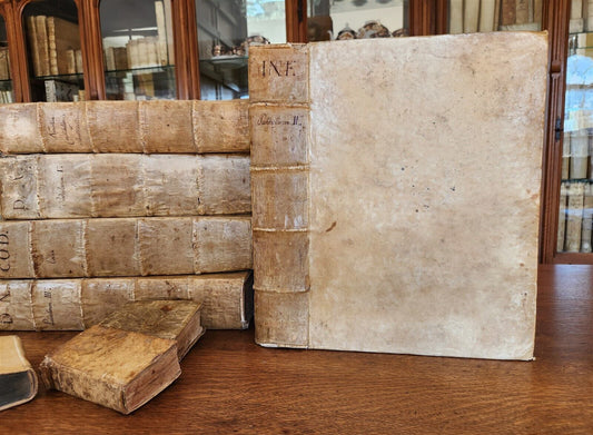 1556 LAW BOOK Corpus Juris Civilis PANDECTARUM antique MASSIVE FOLIO vellum