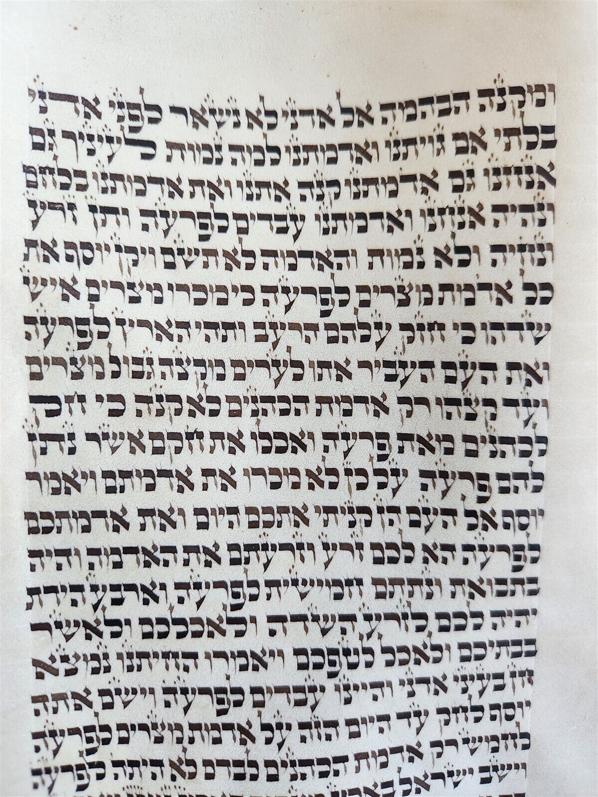 TORAH SCROLL FRAGMENT MANUSCRIPT on VELLUM antique BIBLE GENESIS 43:23 - 48:7