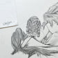ILLUSTRATION ART FEMALE lot of 4 EROTIC PENCIL DRAWINGS vintage signed