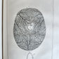 1754 ANATOMY DENTISTRY BOTANY antique ILLUSTRATED Continet anatomica physiology