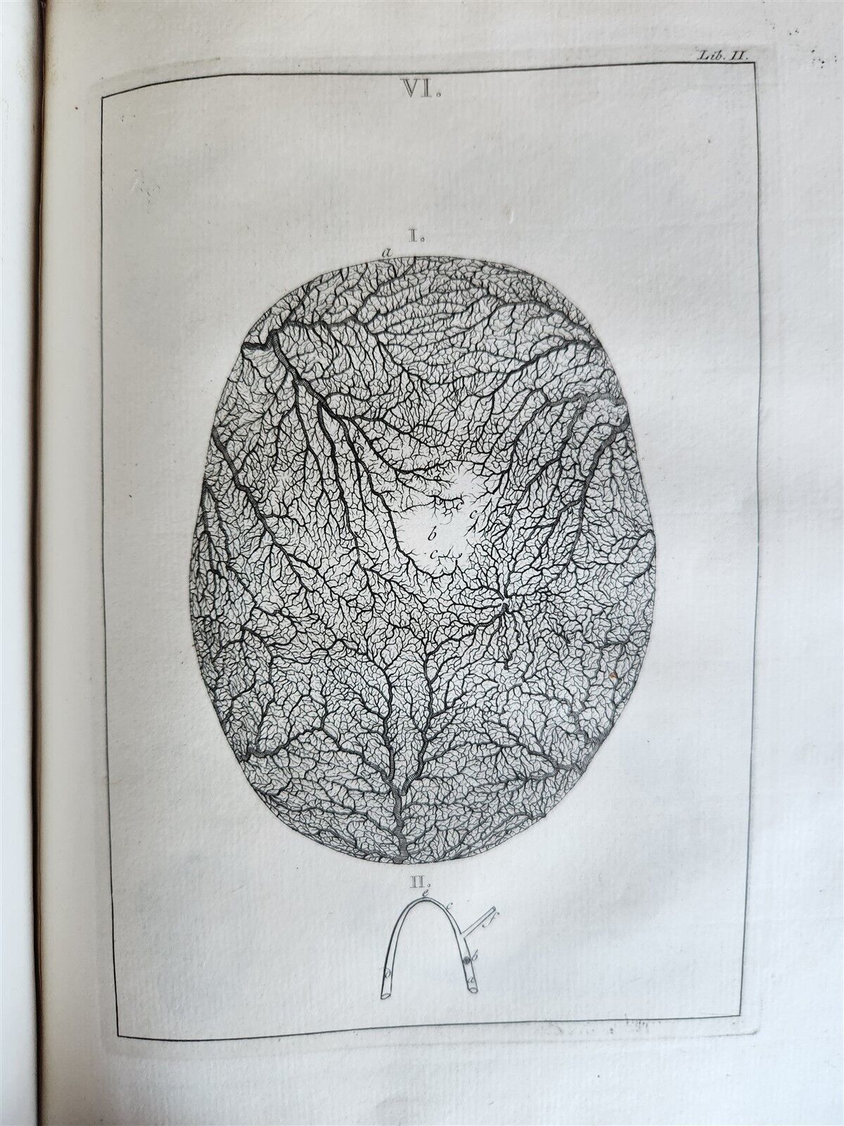 1754 ANATOMY DENTISTRY BOTANY antique ILLUSTRATED Continet anatomica physiology
