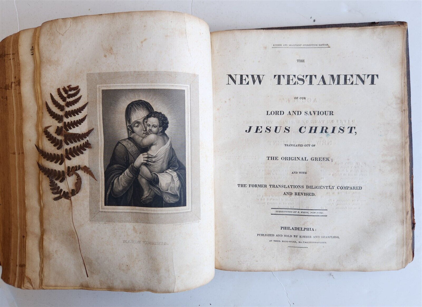 1820s BIBLE in ENGLISH antique AMERICANA Philadelphia ILLUSTRATED