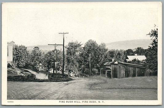 PINE BUSH HILL NY ANTIQUE POSTCARD