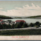 STEVENSVILLE NY SWAN LAKE 1908 ANTIQUE POSTCARD