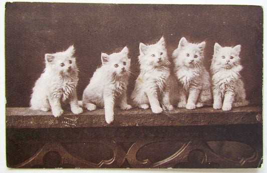 1908 VINTAGE POSTCARD CUTE KITTY ELMWOOD RAILROAD STATION CANCEL RHODE ISLAND