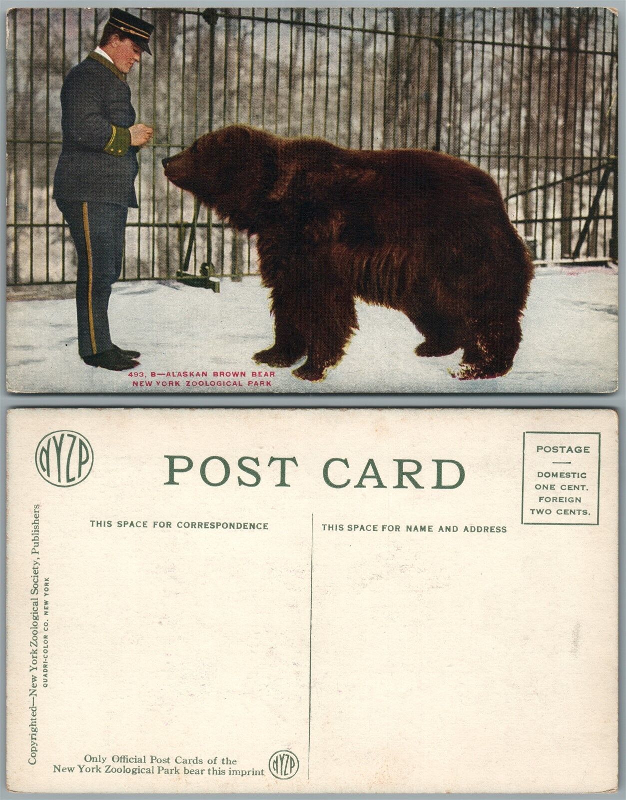 NEW YORK ZOO N.Y. ANTIQUE POSTCARD ALASKAN BROWN BEAR