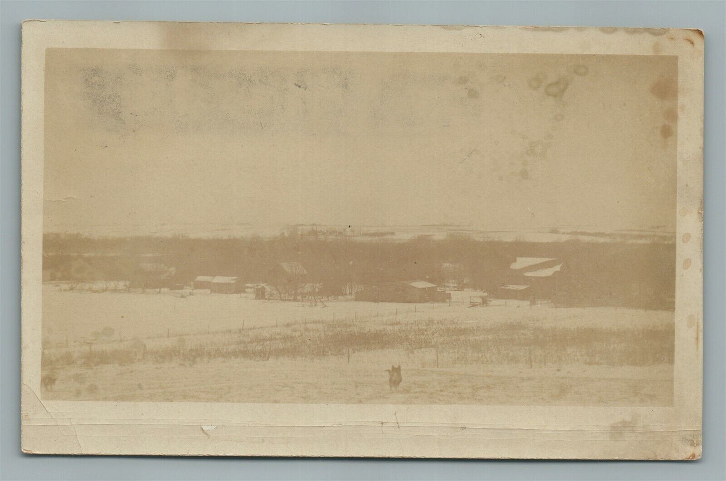 FAIRBURY NE WINTER SCENE w/ DOG ANTIQUE REAL PHOTO POSTCARD RPPC