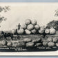 EXAGGERATED HAULING POTATOES in KANSAS ANTIQUE REAL PHOTO POSTCARD RPPC montage