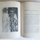 1899 THROUGH the DARK CONTINENT H. STANLEY antique illustrated Africa travel V.I