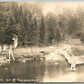 NATIVE DEER 1939 VINTAGE REAL PHOTO POSTCARD RPPC PHOTOMONTAGE