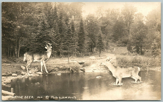 NATIVE DEER 1939 VINTAGE REAL PHOTO POSTCARD RPPC PHOTOMONTAGE