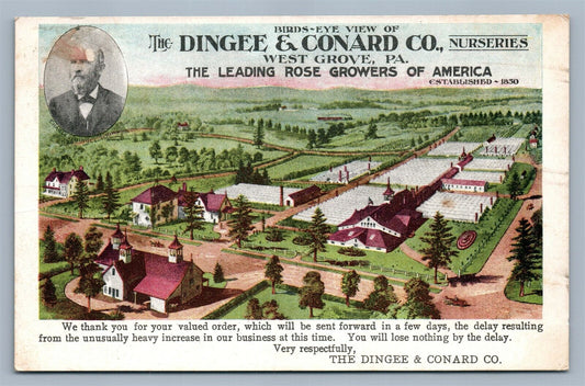 WEST GROVE PA DINGEE & CONARD NURSERIES ADVERTISING ANTIQUE POSTCARD