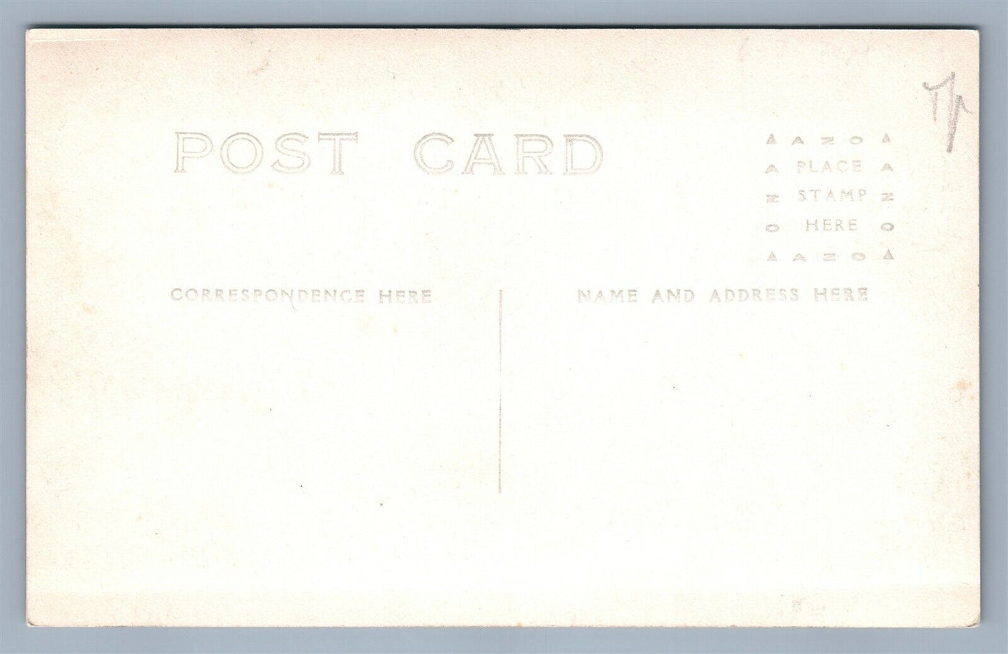 FARM SCENE MAN FEEDING PIGLETS ANTIQUE REAL PHOTO POSTCARD RPPC