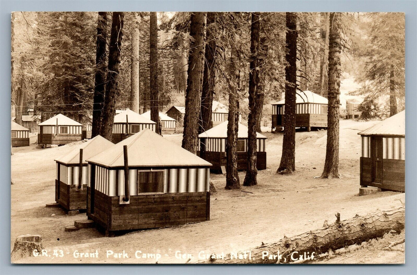 GENERAL GRANT NATIONAL PARK CA VINTAGE REAL PHOTO POSTCARD RPPC