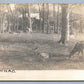 DEER PARK ANTIQUE REAL PHOTO POSTCARD RPPC