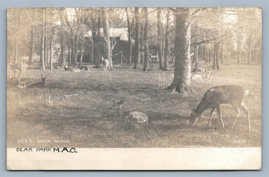 DEER PARK ANTIQUE REAL PHOTO POSTCARD RPPC