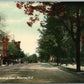PRINCETON NJ NASSAU STREET ANTIQUE POSTCARD