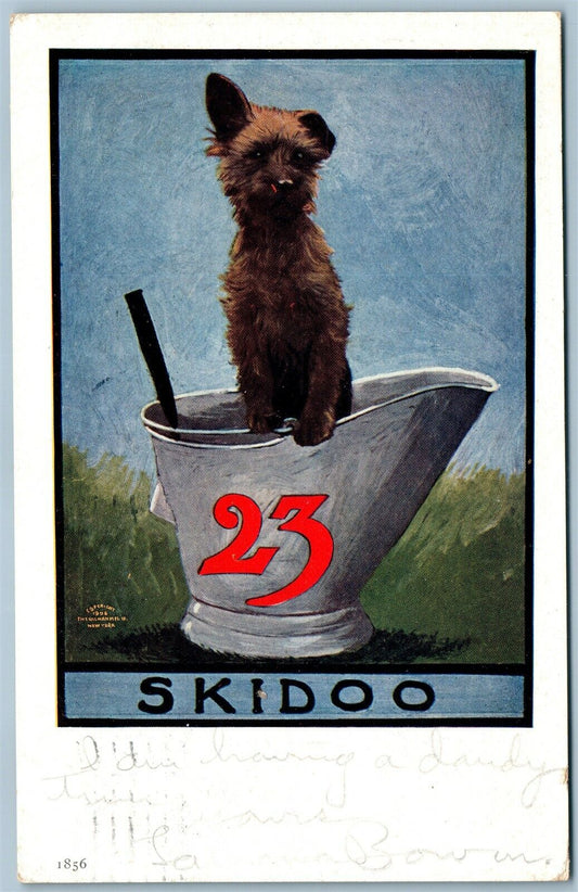 SKIDOO DOG ANTIQUE POSTCARD