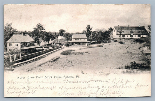 EPHRATA PA CLARE POINT STOCK FARM ANTIQUE POSTCARD