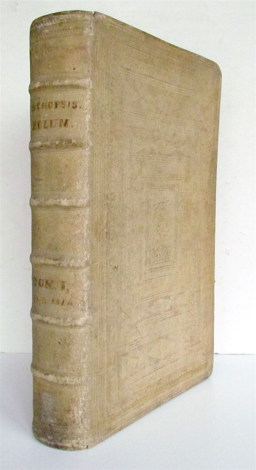 1678 BIBLE COMMENTARY by MATHEO POLO antique PIGSKIN BOUND MASSIVE FOLIO v. I