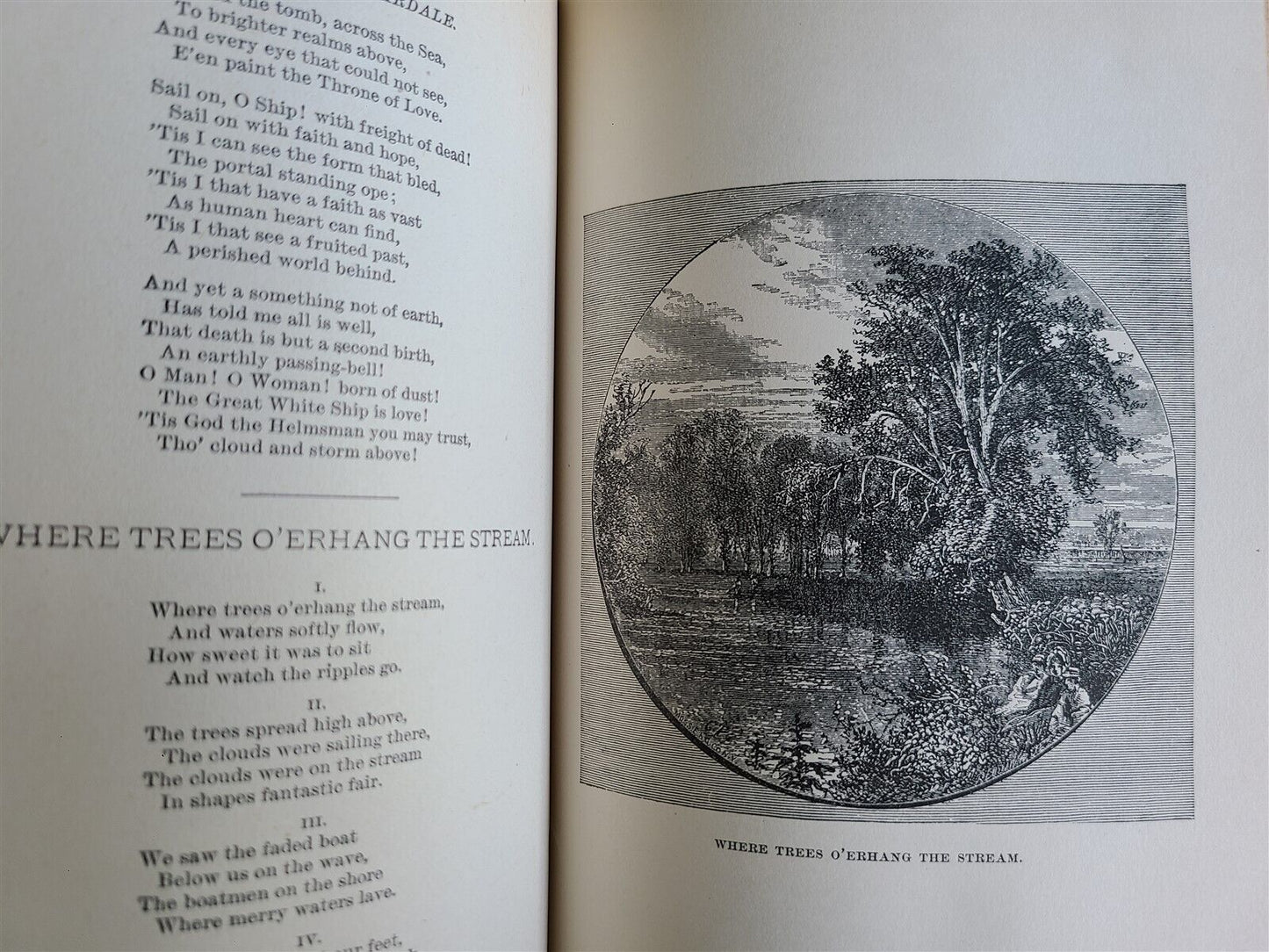 1886 THE LADY of DARDALE & OTHER POEMS HORACE EATON WALKER antique ILLUSTRATED