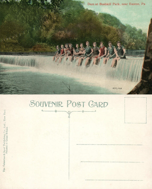 EASTON PA BUSHKILL PARK DAM ANTIQUE POSTCARD