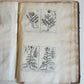 1714 ICONES PLANTARUM per GALLIAM HISPANIAM et ITALIAM Jacques BARRELIER antique